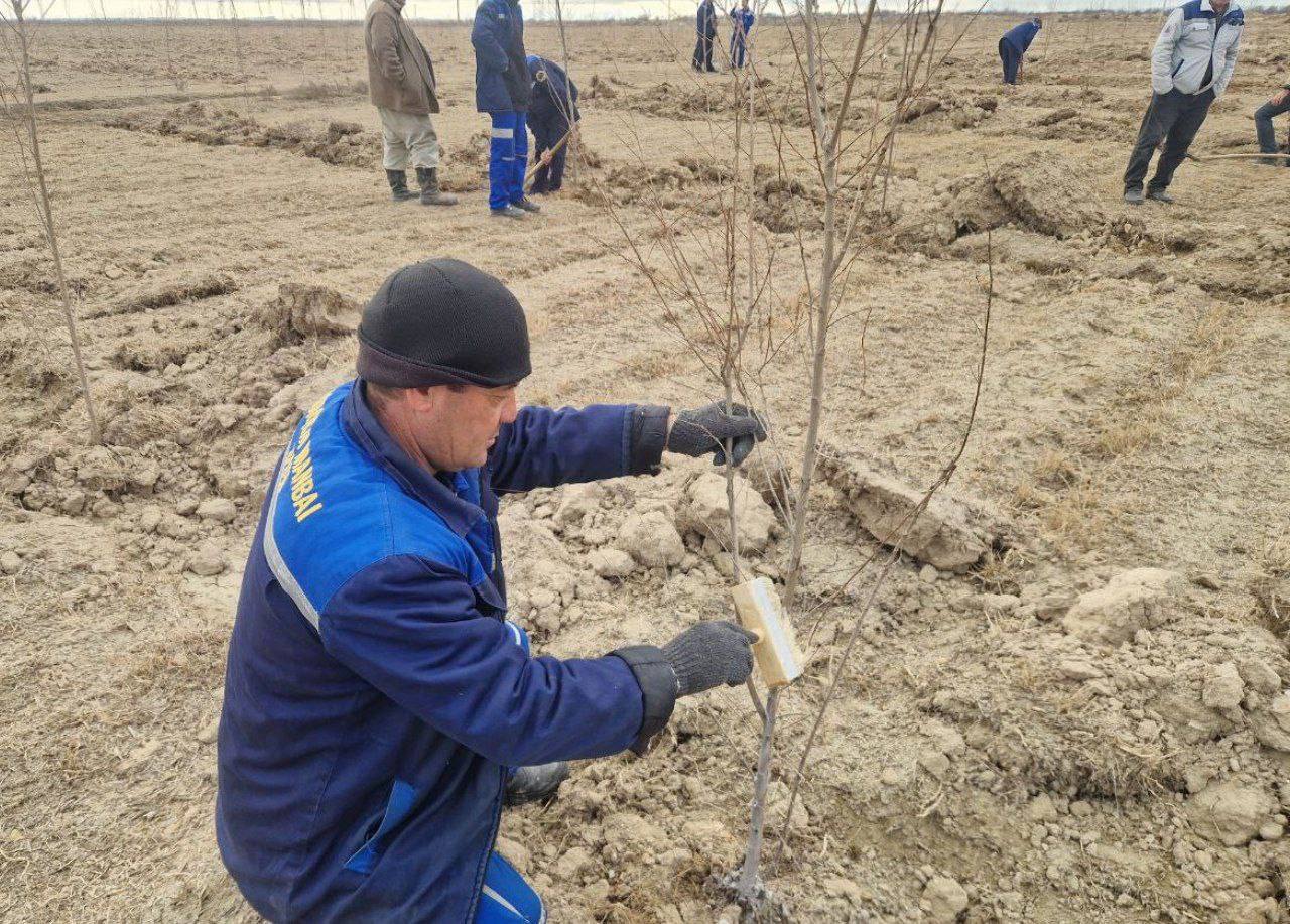 Yashil makon — Navoiyda yashil kelajak sari amaliy qadamlar